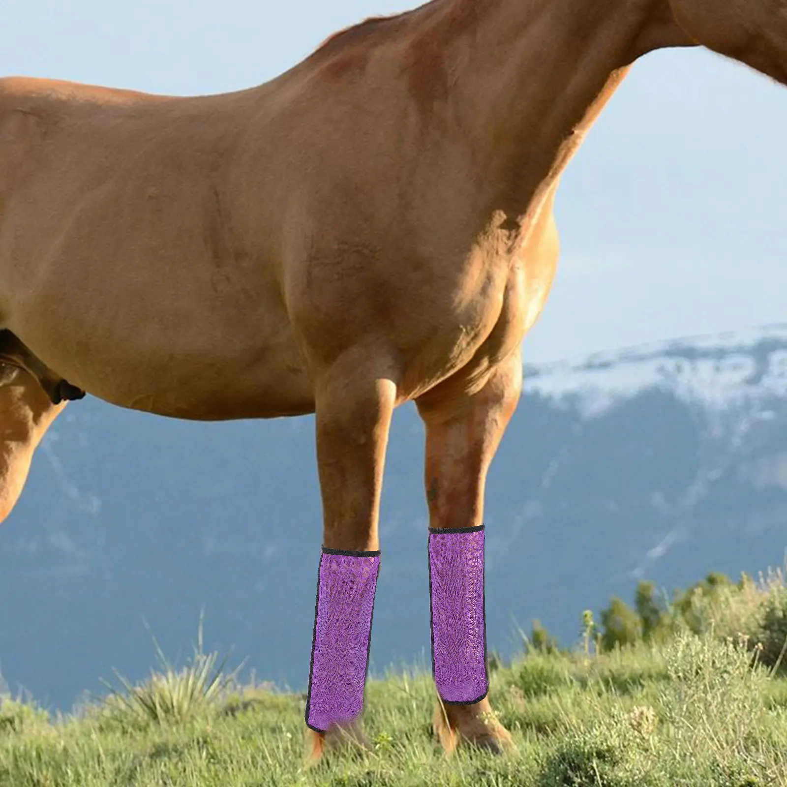 4-piezas-de-botas-de-malla-transpirables-para-patas-de-caballo-con-red-de-proteccion-antimosquitos-barras-laterales-reforzadas-faciles-de-usar-duraderas