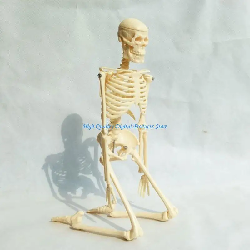 U2JEメディリミニヒューマンスケルトンモデル学習教育用ディスプレイツールギフト