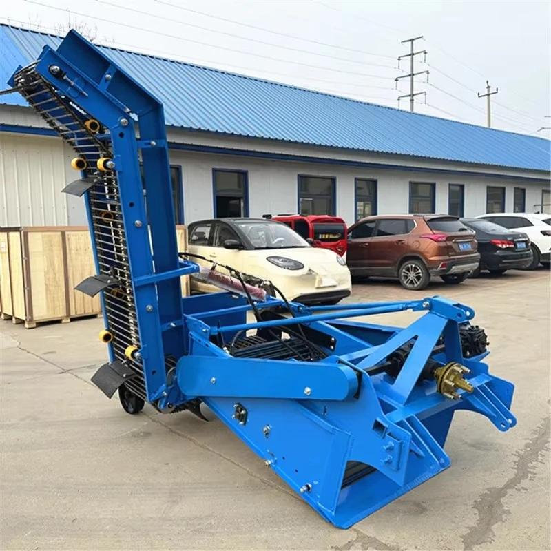 Farm Agricultural Equipment Au - Agriculture Onion Farming 评论和价格