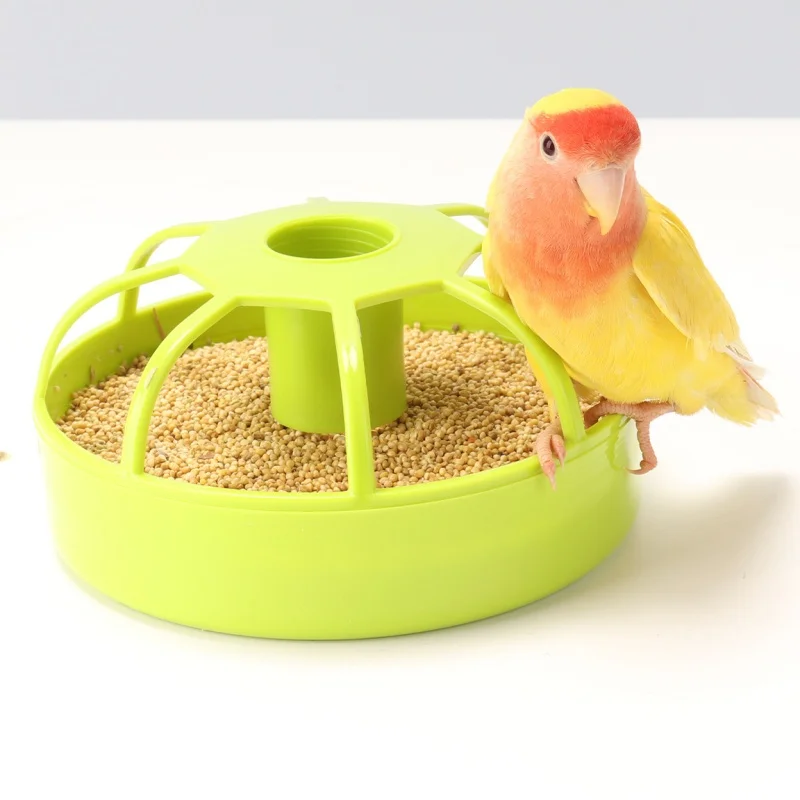 1pc Large-Capacity Automatic Feeder for Water Food for Pet Birds Parrots Starlings Chickens Hamsters Bird Feeder Accessories