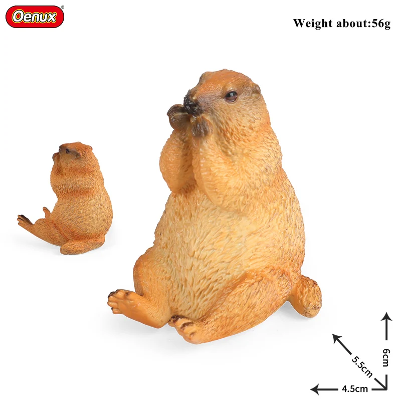 Wild Animals Simulation Rodent Marmot Mouse Model Squirrel Rat Chinchilla Action Figure Figurine Collection Cute Kids Toys