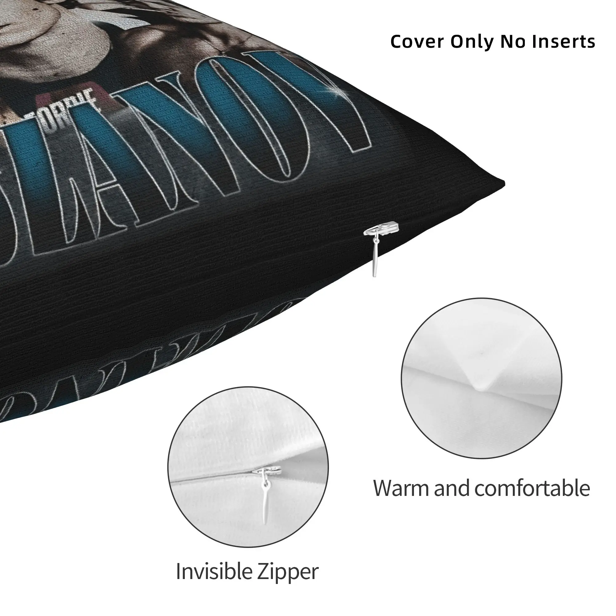 Connor Storrie Rozanov Heated Movie Rivalry Pillow Case Ilya Rozanov Pillow Cover Comfy Pillowcases For Sofa Bedroom Home Decor