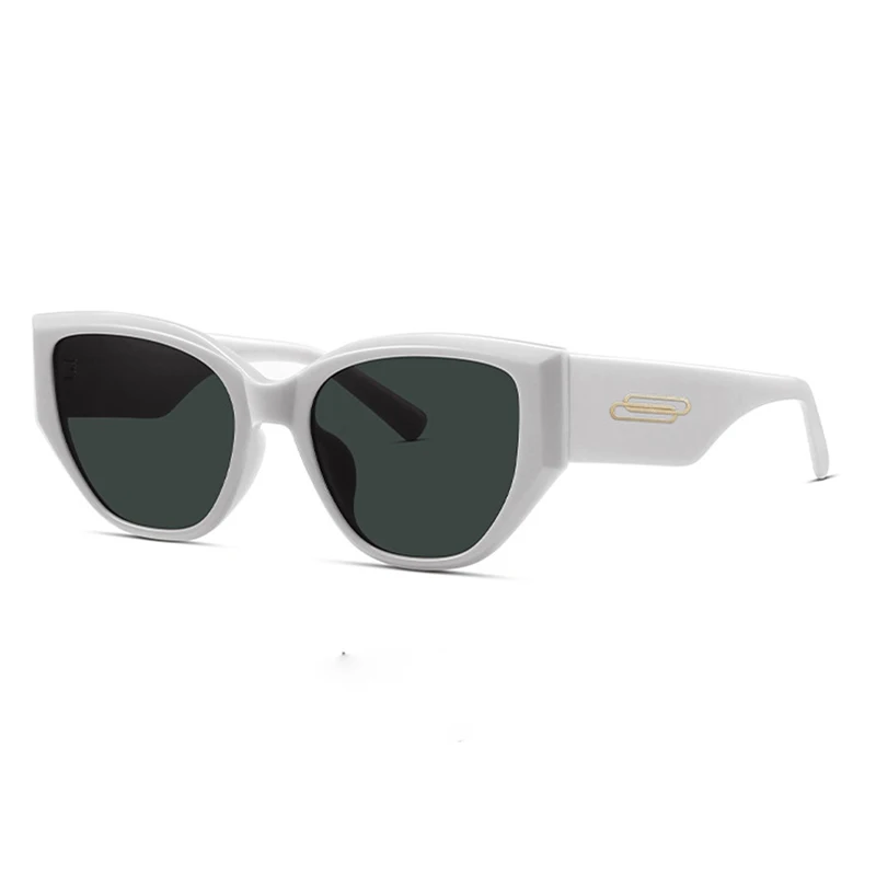 

9131 New Model Handmade Acetate Tortoiseshell Sunglasses Personalized High Quality Trendy Engraved Logo Eyewear For Men Women