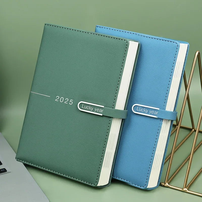 Schedule book 365 days efficiency manual one page a day plan book 2025 notebook A5 diary set LOGO undated planner agendas