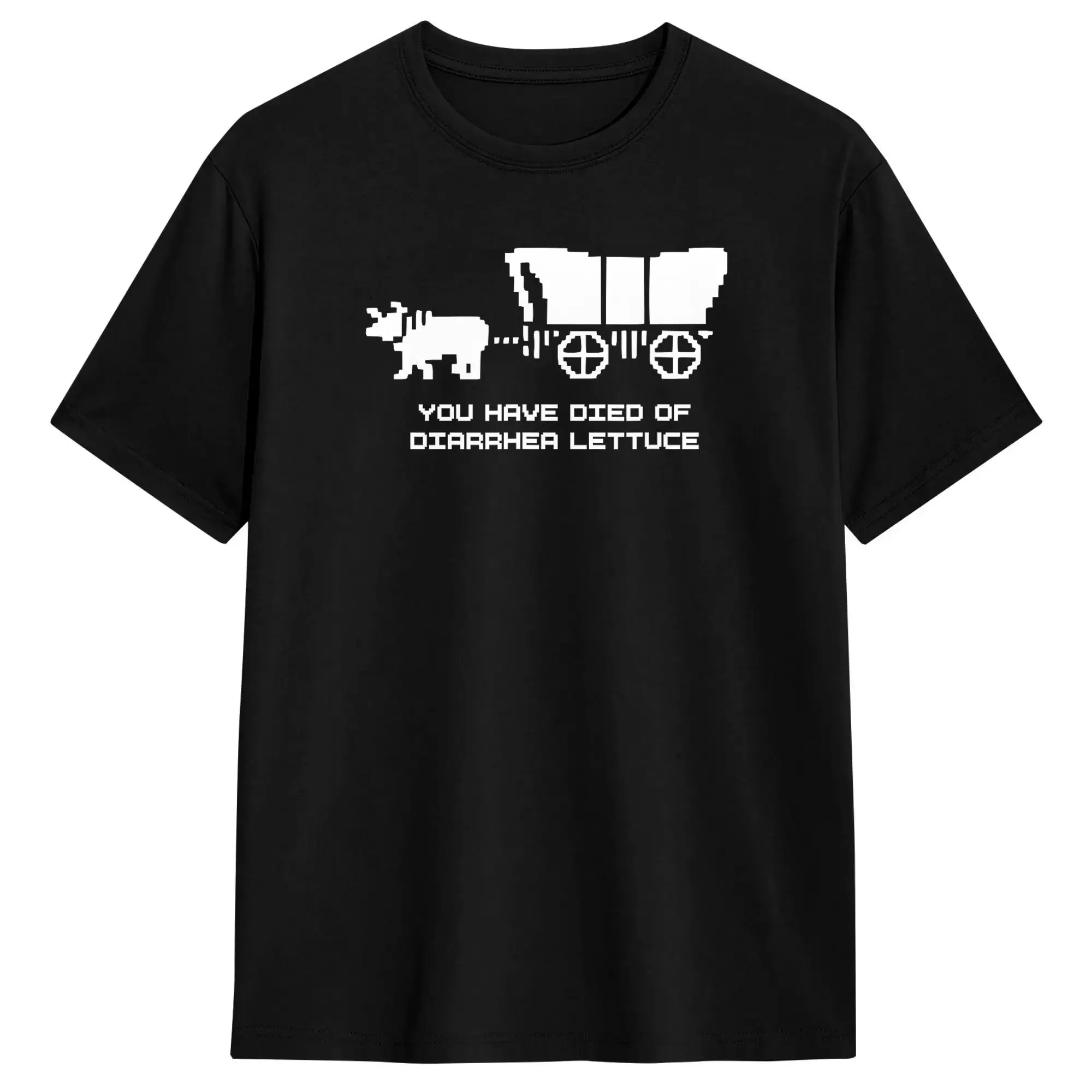 You Have Died of Diarrhea Lettuce Cotton T Shirt For Men Beach  Y2K Basic T-Shirts Hipster Tee Shirt Oversize Cheap Tops