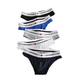 Men's Fashion Briefs Stretchy Cotton Breathable Sweat Absorption Underwear Low-Rise Penis Bulge Brief Comfortable Sports Bikini