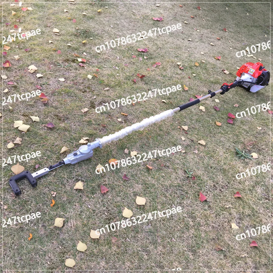 Orchard gasoline fruit picker dogwood olive fruit picker fruit beater apricot sea buckthorn  picker telescopic collector