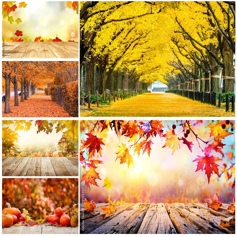 

ZHISUXI Natural Scenery Photography Background Fall Leaves Forest Landscape Travel Photo Backdrops Studio Props QQTT-04