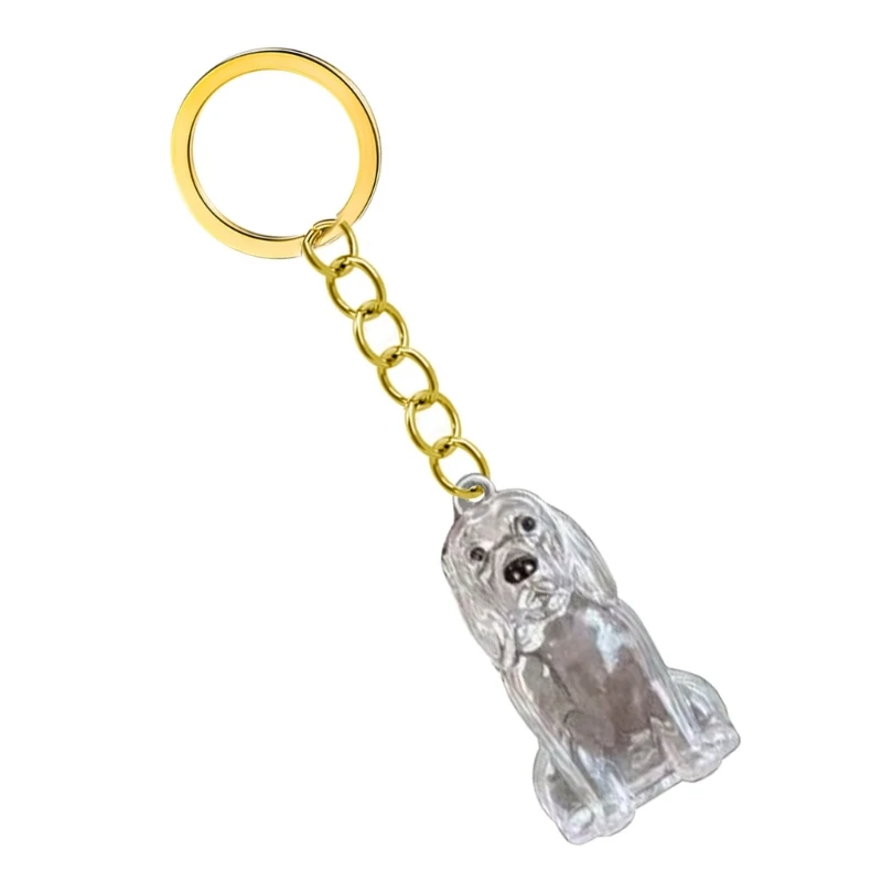  Pet Memorial Keychain For Carrying Dog Hair Remembrance Plastic Case