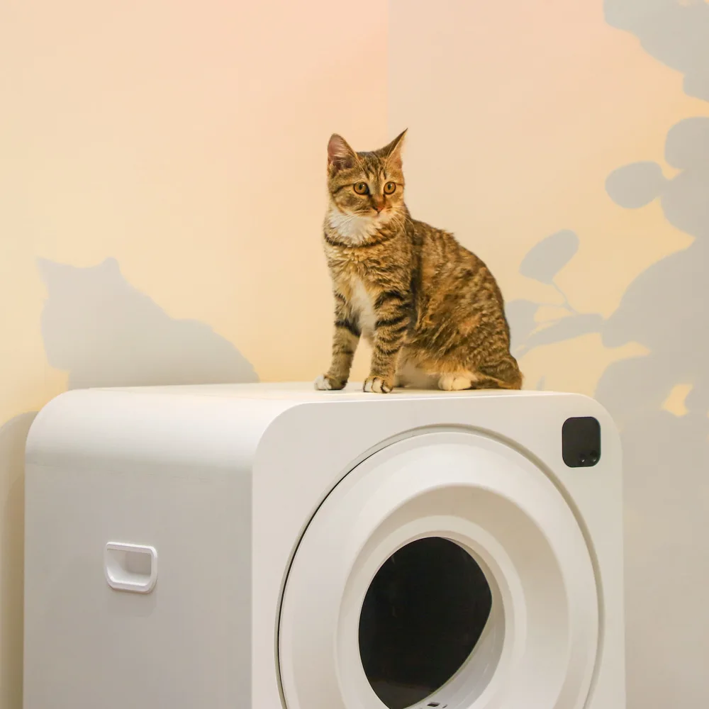 The latest double deodorization automatic cat toilet smart cat litter box Precise weighing and app remote control