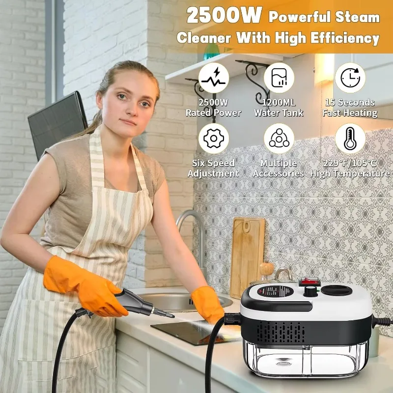 Portable 2500 Watt High Temperature Steam Cleaner with Brush Head Electric Car Home Hotel 220 Volt