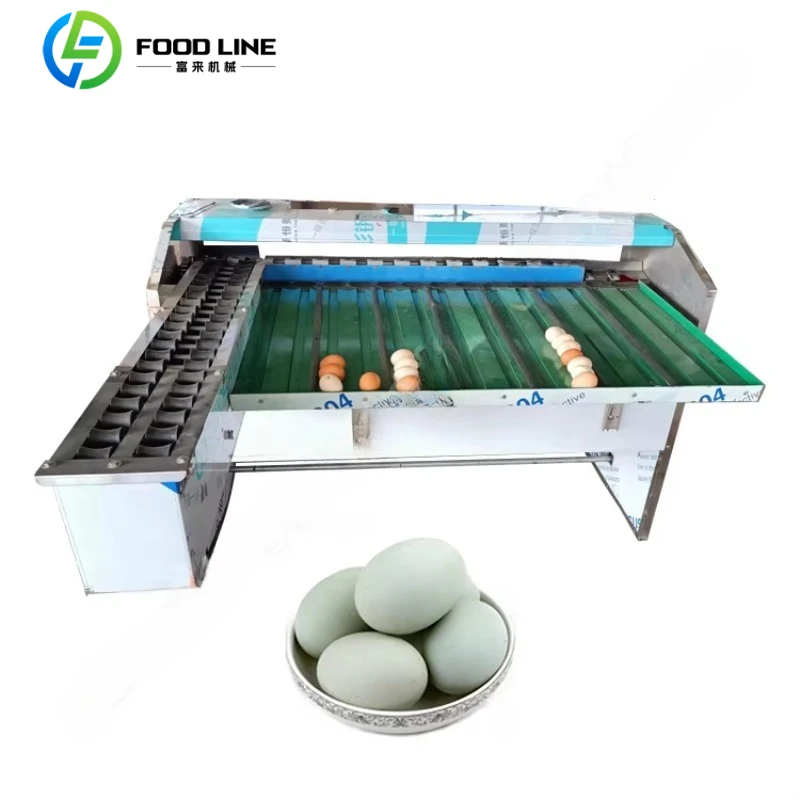 Integrated Egg Washing Sorting Grading Packaging Machine Automatic Egg Processing Equipment