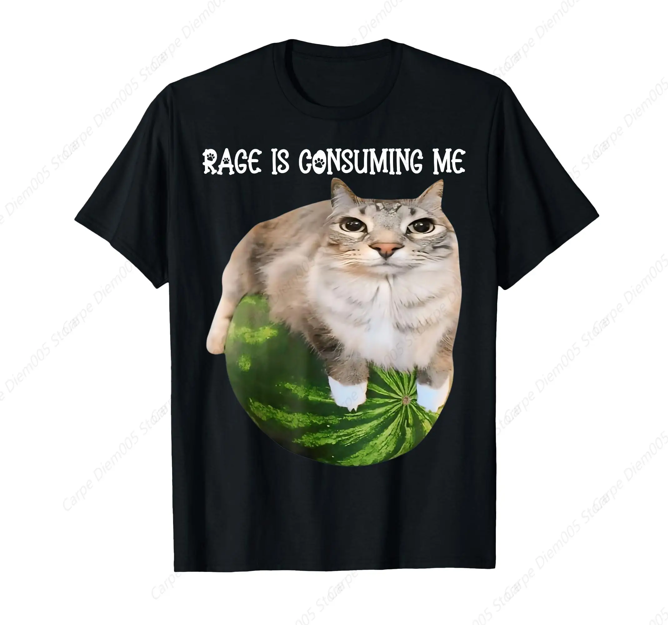 Rage Is Consuming Me Meme Cat Meme Oddly Specific Memes Joke T-Shirt