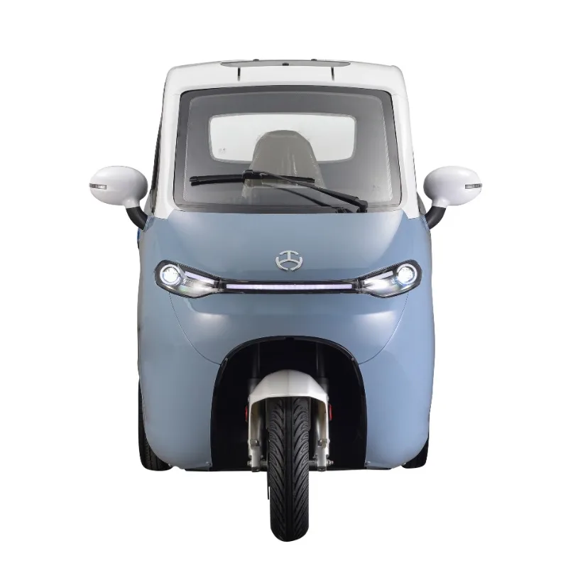 Three Wheel Covered Motorcycle Adult Electric Tricycle