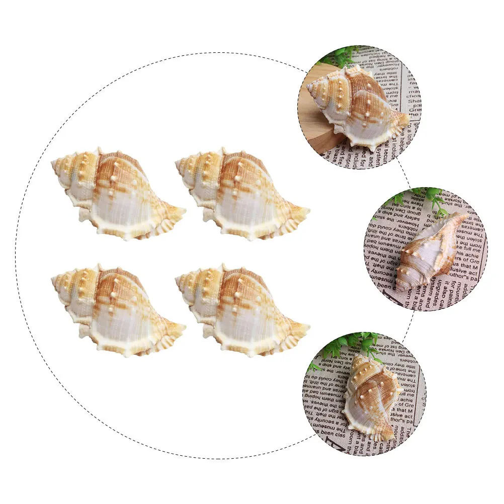 

8Pcs Sea Shell Conch Decoration Natural Smooth Crafts for Fish Tank Aquarium Home Decor DIY Nautical Ornaments