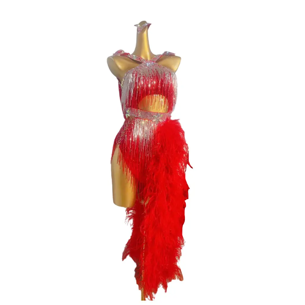 Latin Dance Competition Women's High-end Custom Silver Tassel Fluff Tail Samba Art Performance Rhinestone Dress