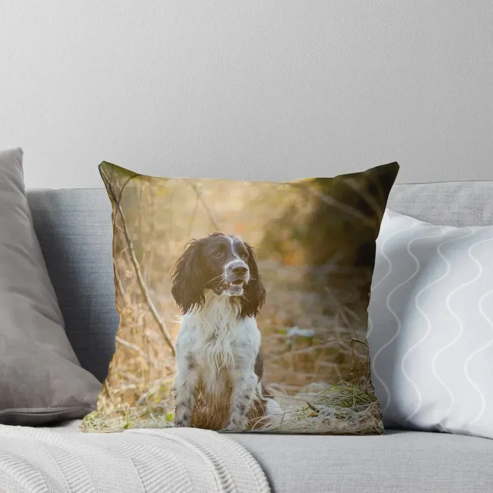 English Springer Spaniel 1 Throw Pillow Cushions For Sofa Decorative pillowcase pillow