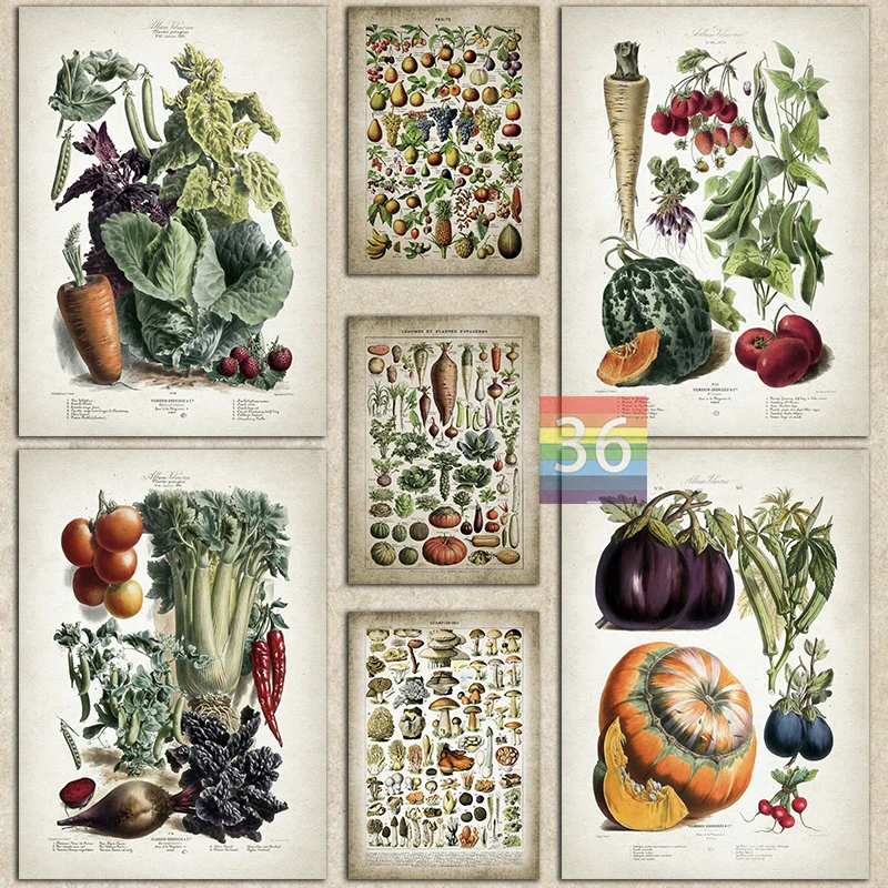 Póster de comida Vintage, imagen artística de pared de frutas y verduras, decoración de pared de cocina Retro Para el hogar, Atlas de comida, impresiones en lienzo