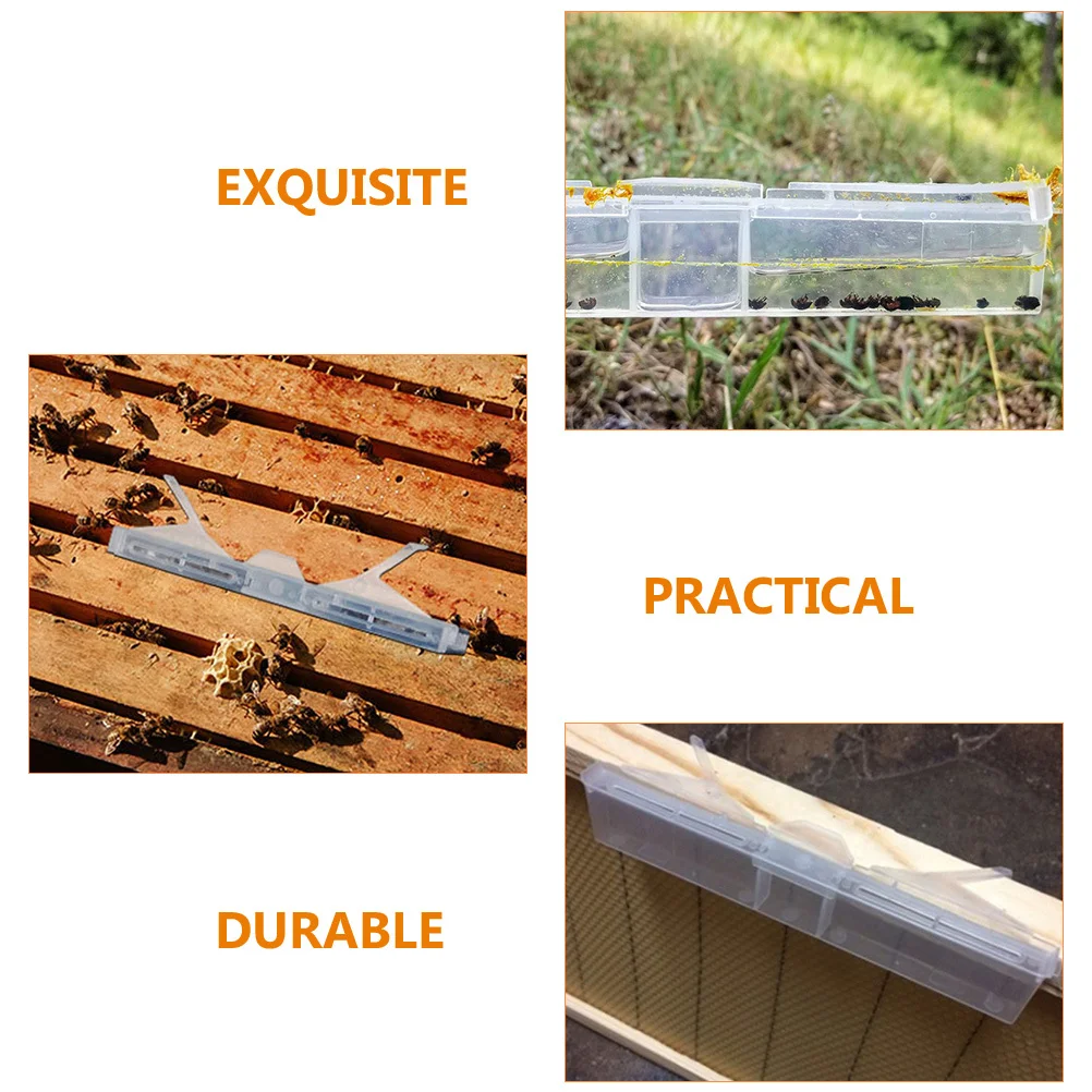 

6Pcs Hive Beetle Trap Clear Small Durable Plastic Reusable Baitable Beetle Capturing Tool Beekeeping Supplies Beekeeping Supply