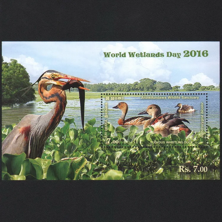 سريلانكا طوابع بريدية سنة البريد 2016 يوم الأراضي الرطبة العالمي لصيد الأسماك والطيور 1 طوابع بريدية جديدة قابلة للجمع مادة لسجل القصاصات #1