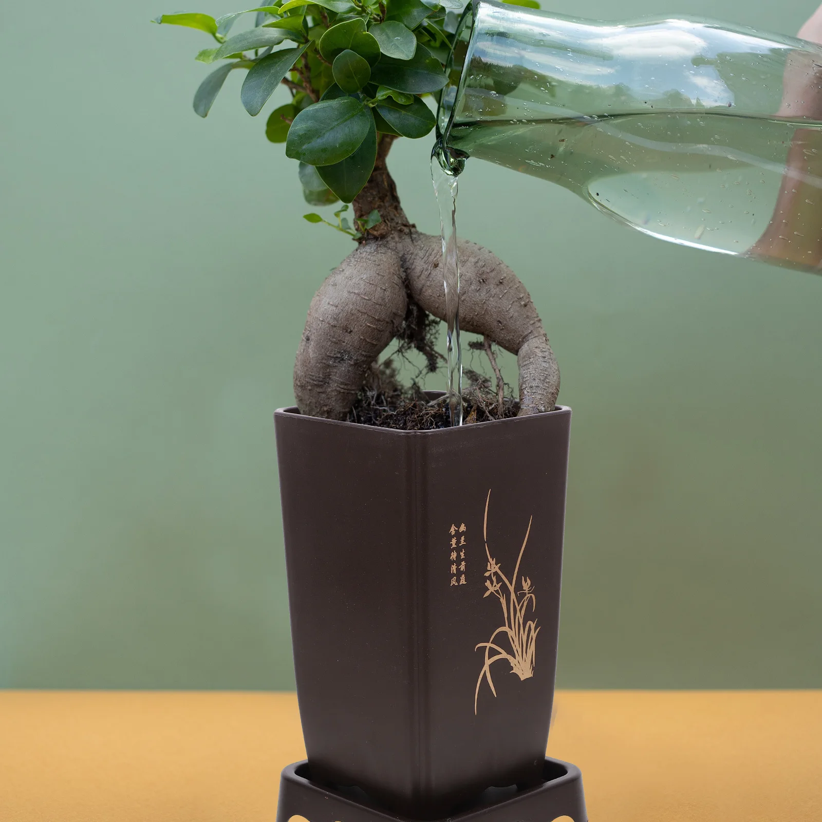 

1 set Orchid Flowerpot Resin Planting Pot For Indoor Plants Flower Nursery Planter Household Flowerpots Plant Pot For Kitchen