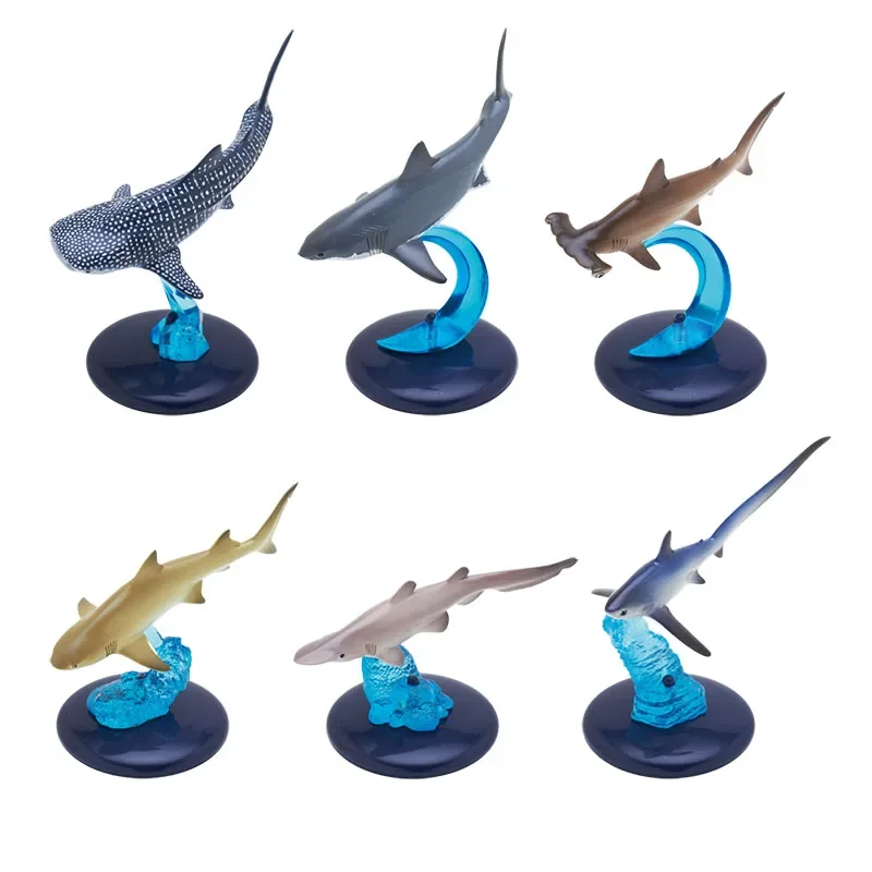 

Japanese Genuine Gacha Scale Model Creature Model Shark Whale Shark Great White Shark Marine Animal Collection Action Figure Toy