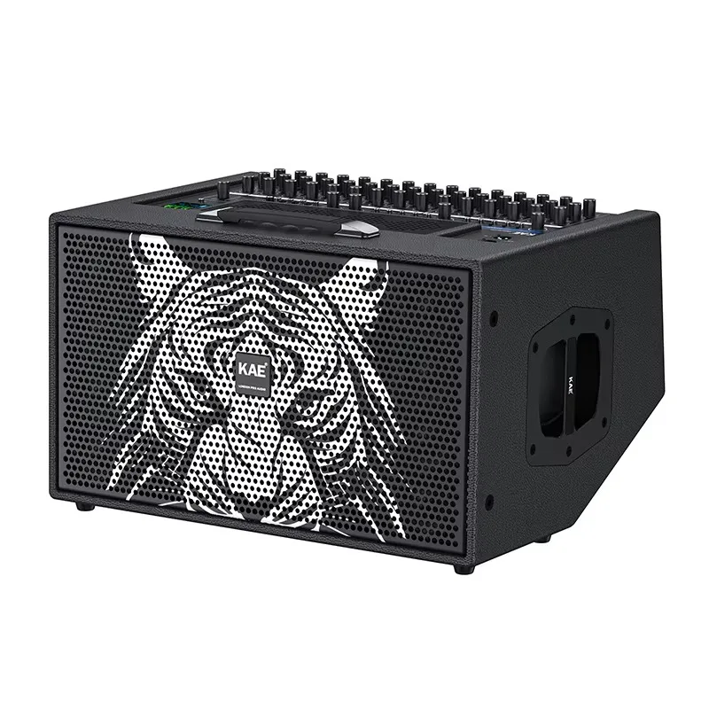 

Stereo Sound Live Stage Digital No Damage Multiunit Serial Speaker With Microphone and Built-in Sound Card for Live