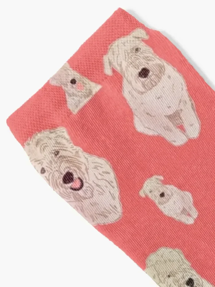 Soft Coated Wheaten Terrier Sketchy Modern Pattern Socks bright garter Run Socks Ladies Men's