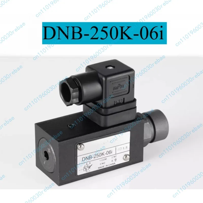 pressostat-dnb-250k-06i