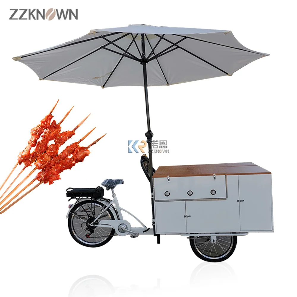 

Pedal Electric Assist Food Bike BBQ Grills Tricycle Barbecue Vending Carts for Sale