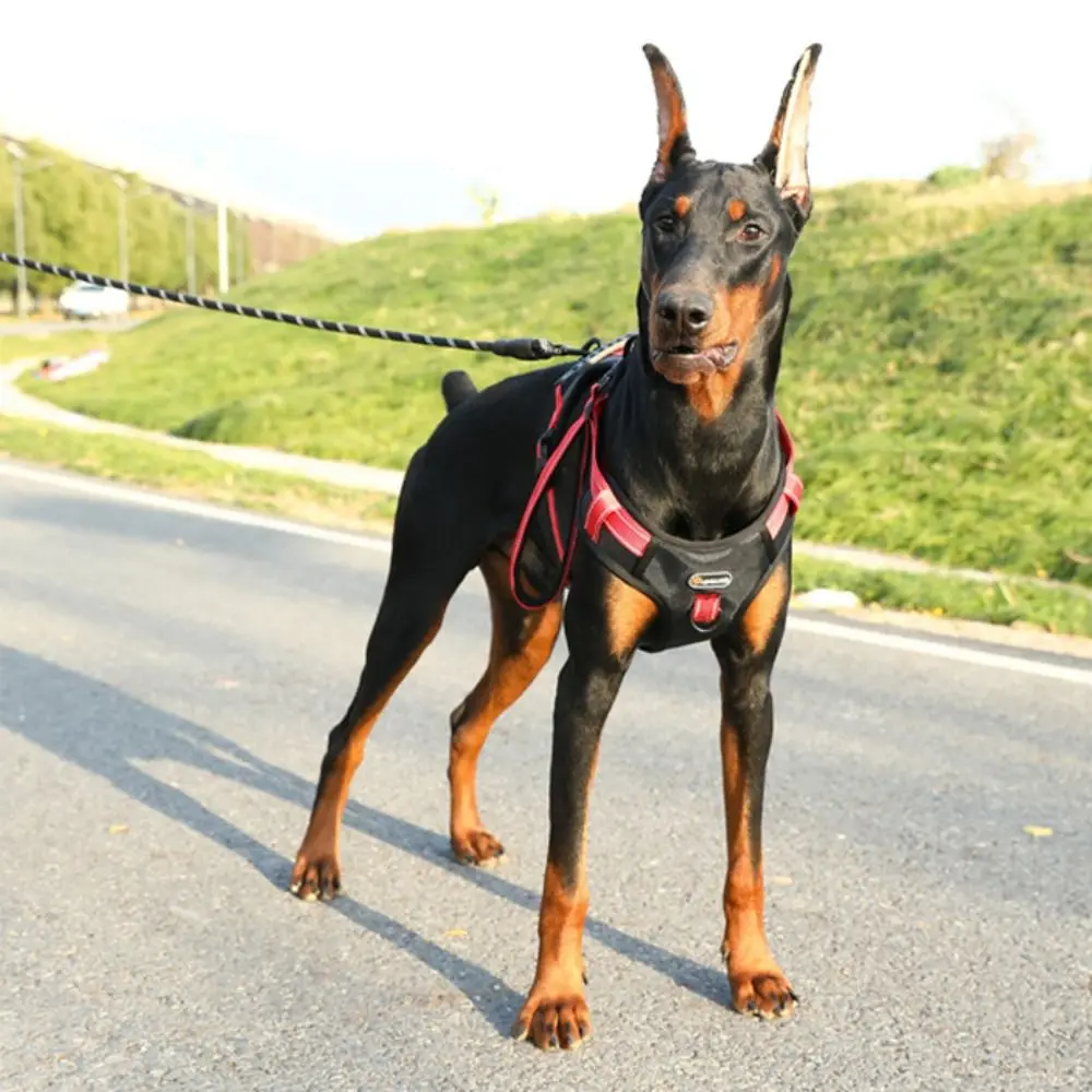 Adjustable Vest Type Dog Harness Lightweight Durable Dog Chest Strap Breathable Reflective No-Pull Chest Strap Training Use