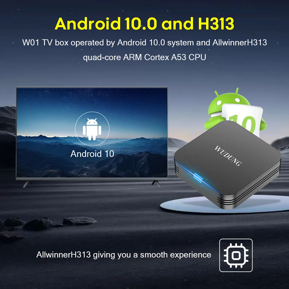 WUDUNG TX1 TV Box 4K Android10 Smart Media Player 2 4G Wifi 16GB RAM HDR Home Theater Mini Set 2025 High Quality