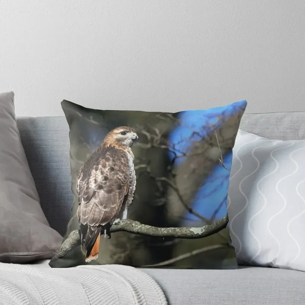 Red-Tail Hawk Throw Pillow Sofa Covers For Living Room Decorative Cushions Luxury Pillow Case pillow