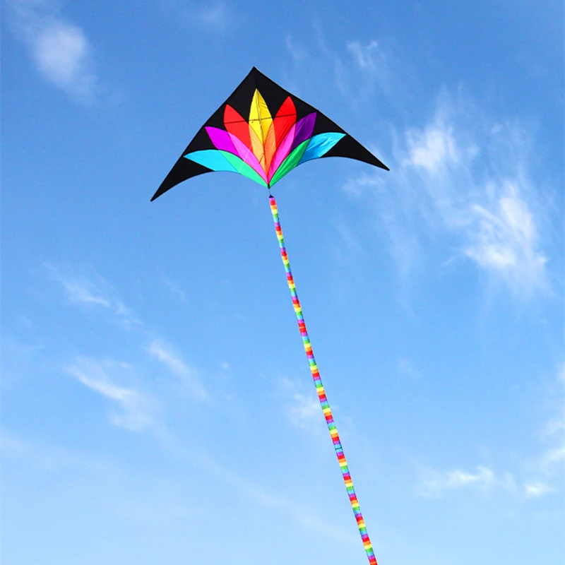 free shipping 2m large rainbow delta kite with10m tails flying line kids kites factory delta kites professional kites Air bounce