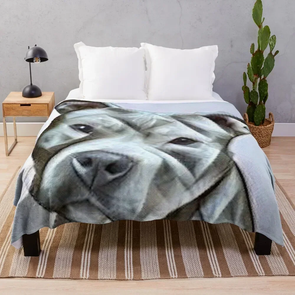 Manta con diseño de perro Pitbull, hermoso diseño de un Pit Bull de nariz azul de esta raza gentil y leal.