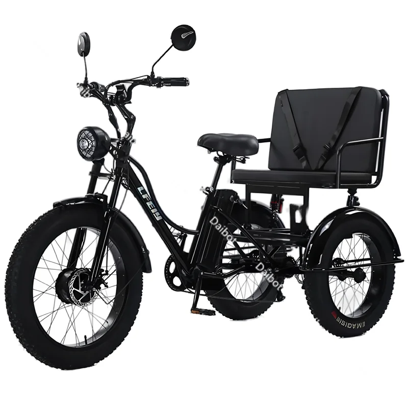 

Seat 750W 48V Electric Bike For Man Removable Battery Fat Tire Electric Adult 3 Wheel Tricycle For 2 Person With Passenger