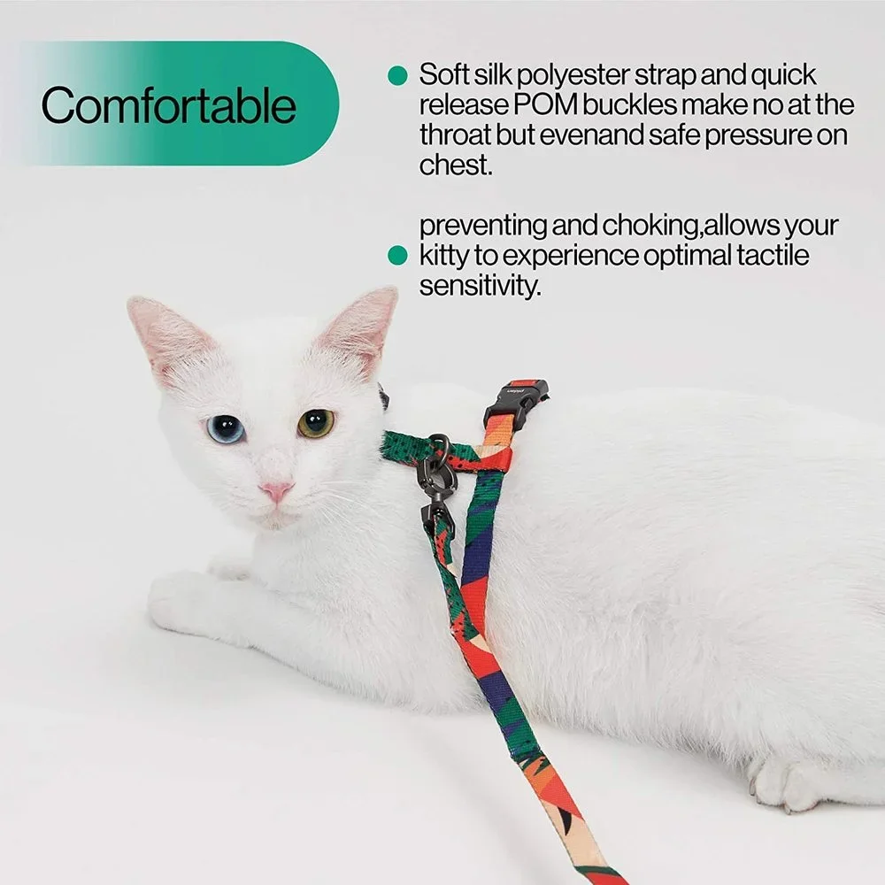 Pidan-Traction Rope Set for Cats, H-Shaped Harness, Walking Rope, Anti-Break, Away Cat Chain, Pet Supplies, Accessories