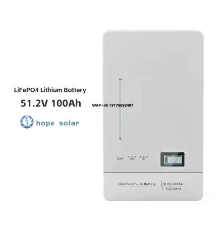

Solar Energy Storage Battery: 51.2V 100Ah LiFePO4 W/ BMS