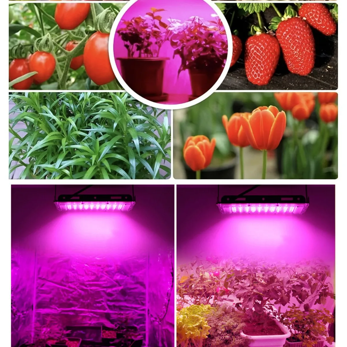 2025 novo 50w-300w led espectro completo planta luz para mudas suculentas luz de preenchimento banda completa planta crescente lâmpadas luz rosa quente