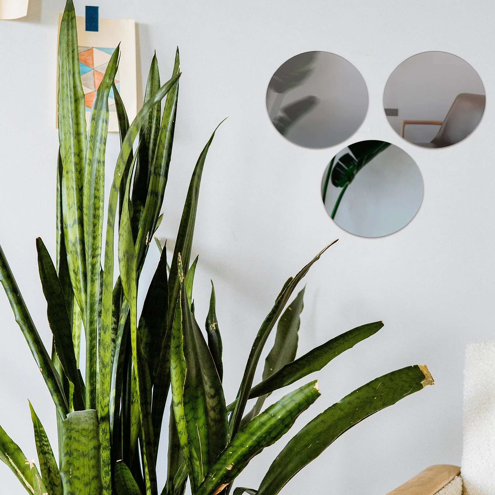 

20 Pcs Wedding Self-adhesive Small Round Mirror Child Acrylic Circular Mirrors for Wall Decor