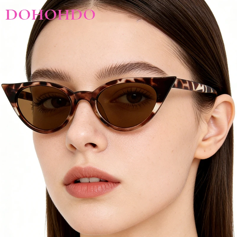 Fashion Luxury Cat …