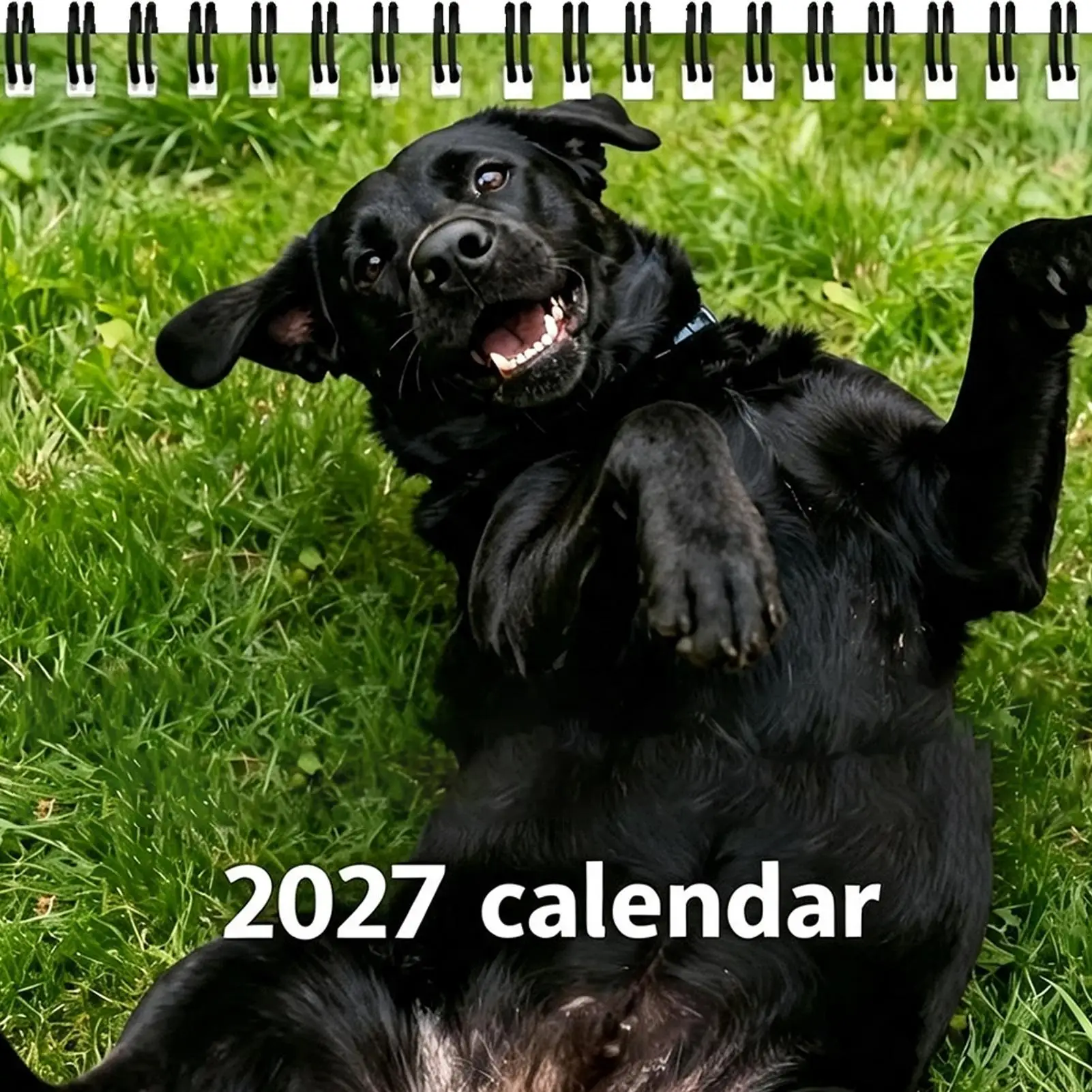 Wall Calendar 12-Month Playful Dog Patterns Hangable Cute Schedule 2027 Calendar For Home Office School Classroom Family Dorm