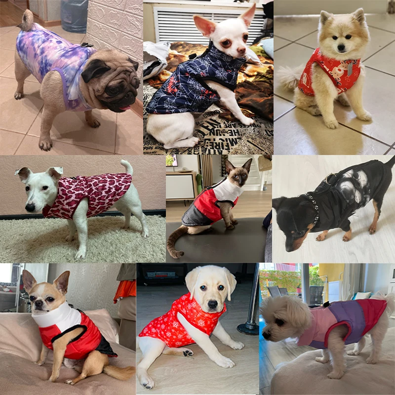 Winter Pet Clothes for Small Dogs Windproof Dog Down Jacket Puppy Vest Yorkie Chihuahua Clothing French Bulldog Shih Tzu Coat