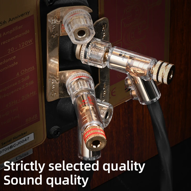 Cavo per altoparlante HiFi Cavo per altoparlante principale schermato con spina a banana autobloccante tipo pistola mista in rame-argento