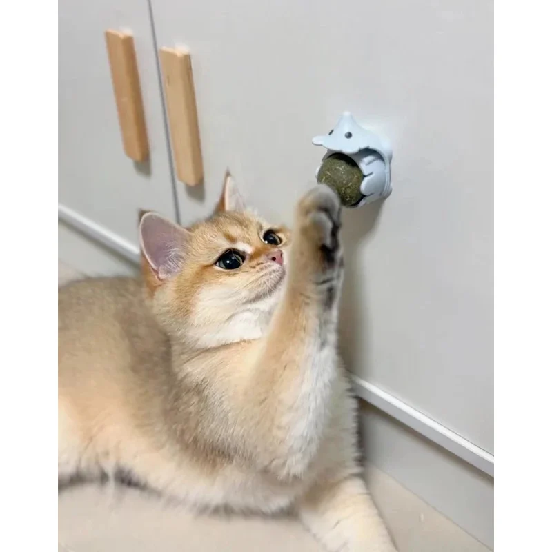 Natural catnip ball Hedgehog styl Cat Toy Scratching Cat Mint Ball Licking and Joyful Cat Self Relaxing Toy Pet Supplies