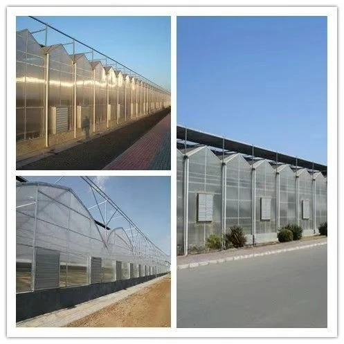 Factory Direct 2026 Ventilatore di scarico zincato per uso industriale/serra/pollame/deli