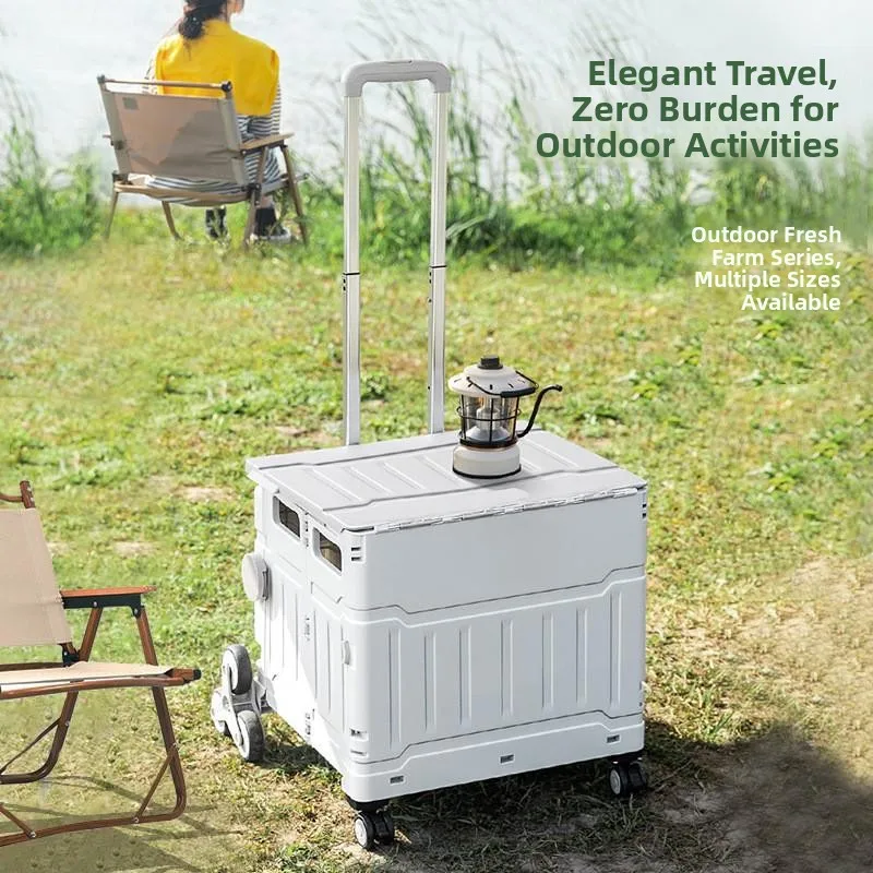 carrello-portatile-leggero-per-la-spesa-carrello-per-verdure-piccolo-carrello-a-mano-pratico-strumento-domestico