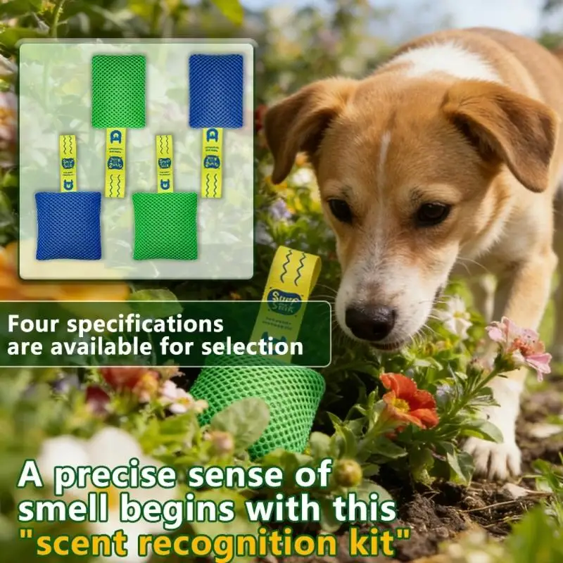 dog-smell-training-set-brainteasers-hide-and-seek-dolls-fun-nose-work-games-smell-and-seek-sniffing-dolls-noseworks-d2rd