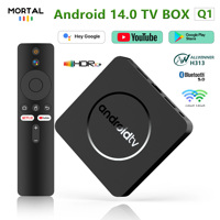Android14.0 TV BOX Youtube 8K Allwinner H313 BT5.0+ Wifi 6 Ethernet Google Youtube 2GB 16GB Multi Language Set Top Box Q1