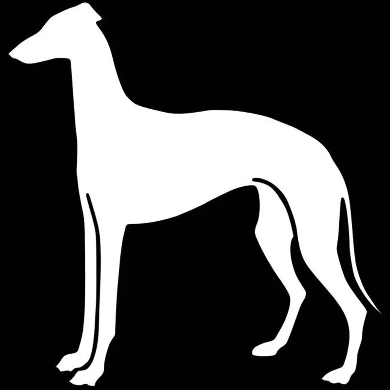 Greyhound Dog Sunscreen Personalized Decal Laptop Suitcase Truck Motorcycle Auto Accessories Vinyl Surfboard Decals 15CM